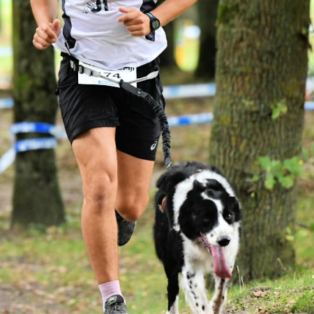 Utiliser une longe pour la couse  pied avec son chien