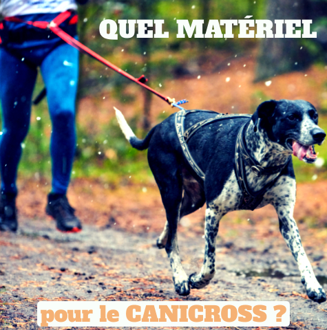 Comment choisir son matriel pour le cani cross ?