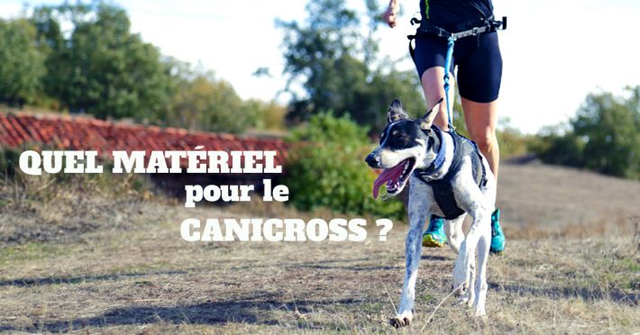 Quel matriel utiliser pour le canicross ?