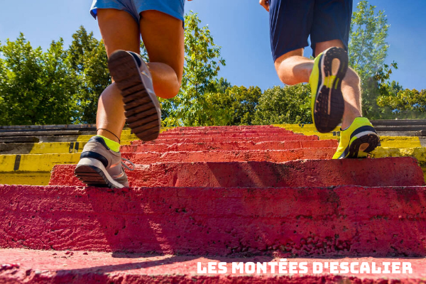 Montes d'escalier pour prparation musculaire Trail