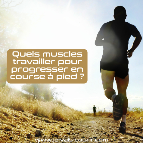 Les muscles  travailler pour s'amliorer en course  pied