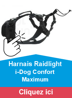 Harnais Raidlight i-Dog Confort Maximum